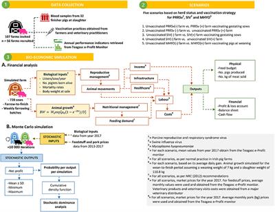 Financial Analysis of Herd Status and Vaccination Practices for Porcine Reproductive and Respiratory Syndrome Virus, Swine Influenza Virus, and Mycoplasma hyopneumoniae in Farrow-to-Finish Pig Farms Using a Bio-Economic Simulation Model